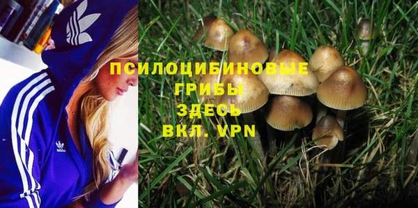 a pvp Михайлов