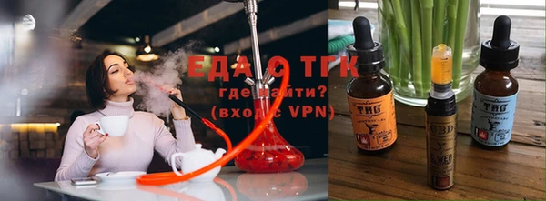 индика Михайловск
