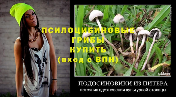 индика Михайловск