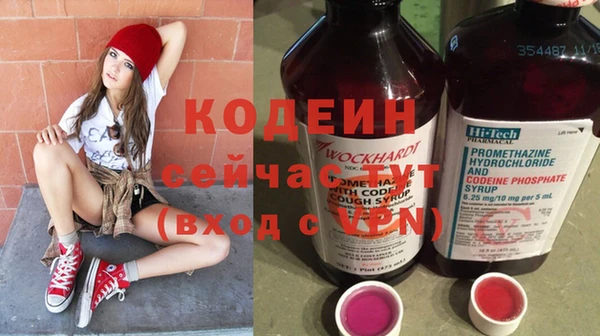 индика Михайловск