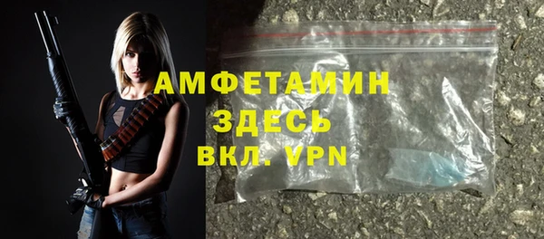 индика Михайловск