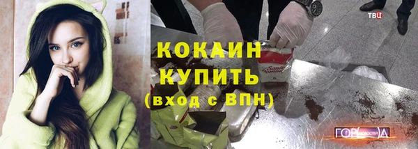 индика Михайловск