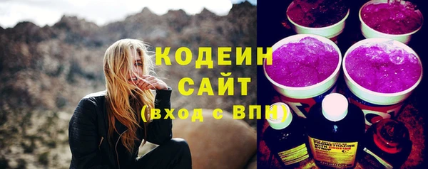 индика Михайловск