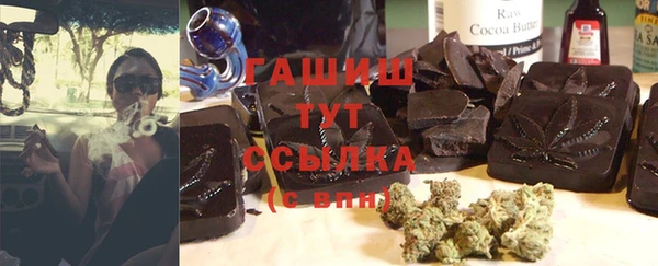 индика Михайловск