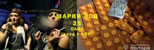 индика Михайловск